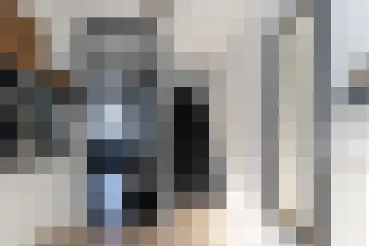 de Reest 4 Hattem thumbnail 6