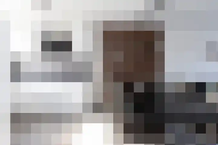de Reest 4 Hattem thumbnail 7