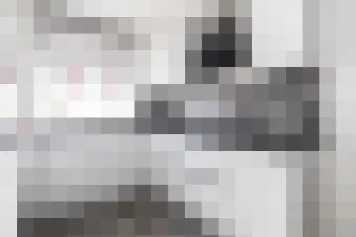 de Reest 4 Hattem thumbnail 8