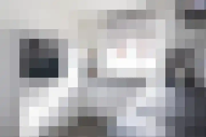 de Reest 4 Hattem thumbnail 9