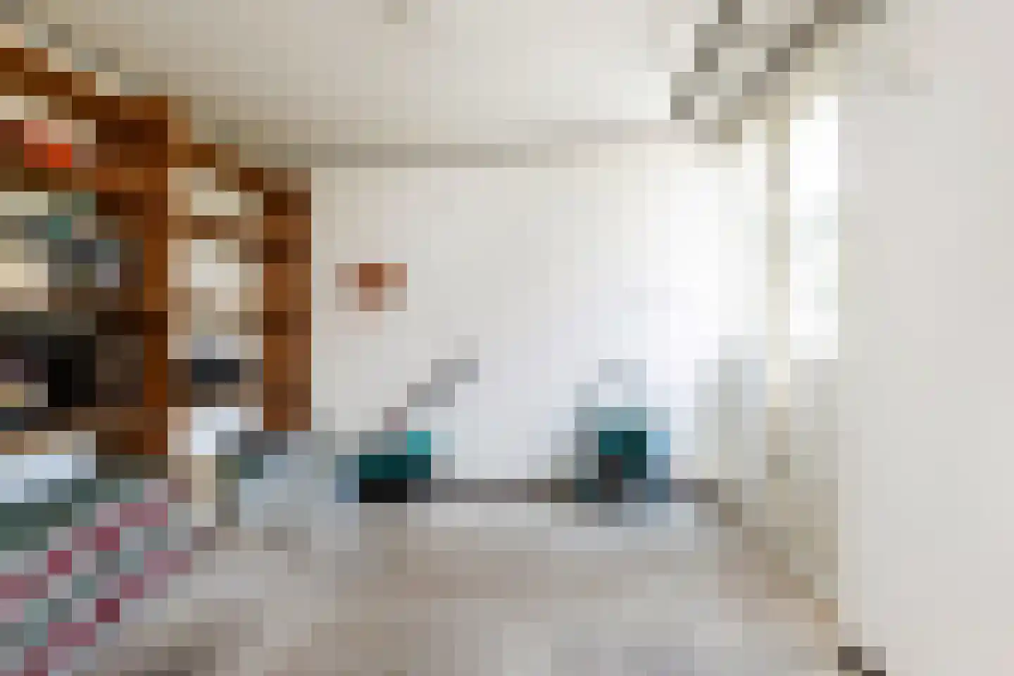 de Reest 7 Hattem thumbnail 16