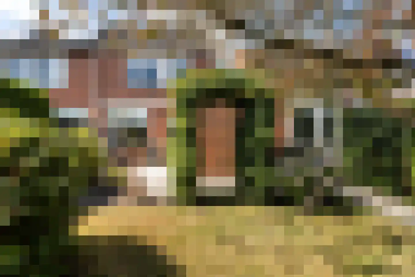 de Reest 7 Hattem thumbnail 31