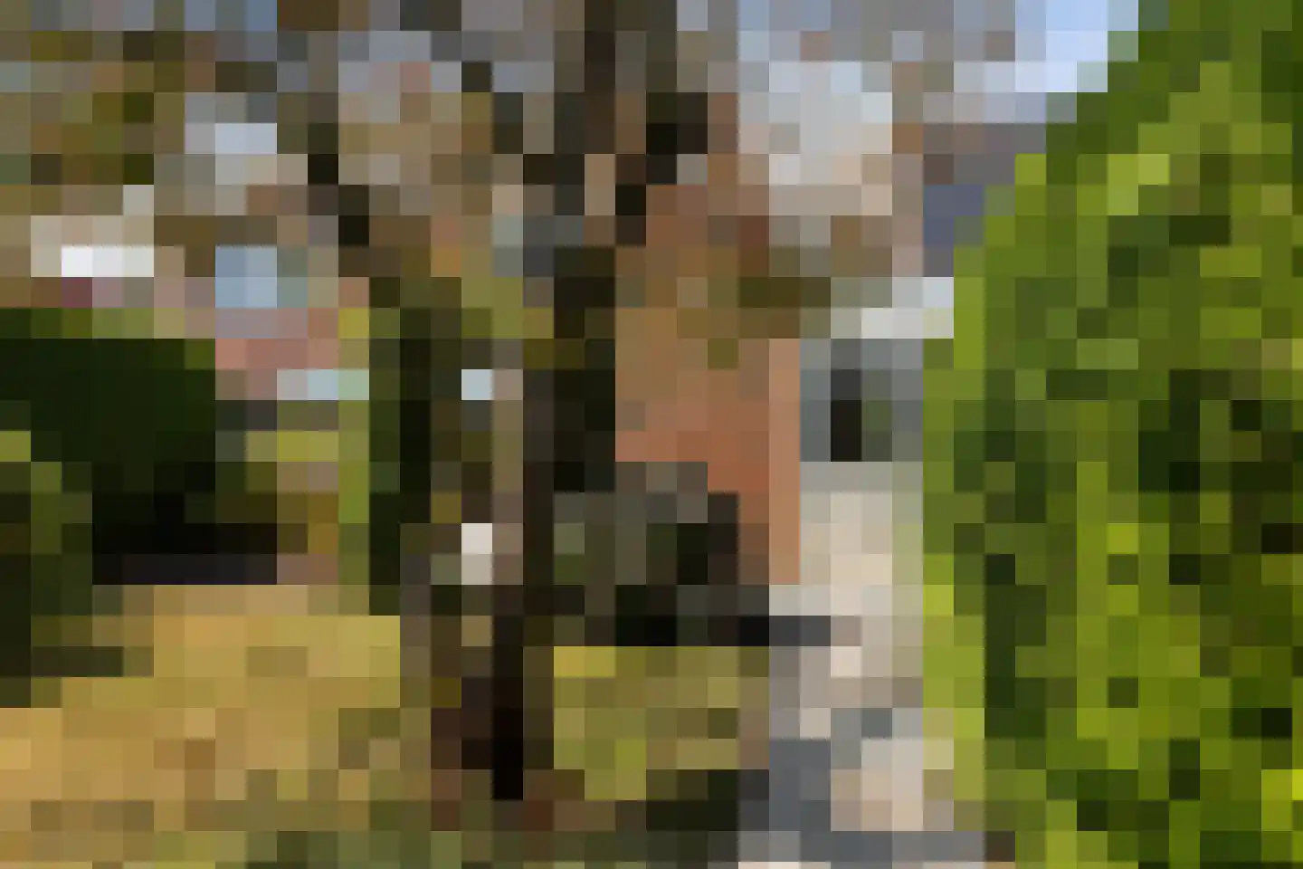 de Reest 7 Hattem thumbnail 35