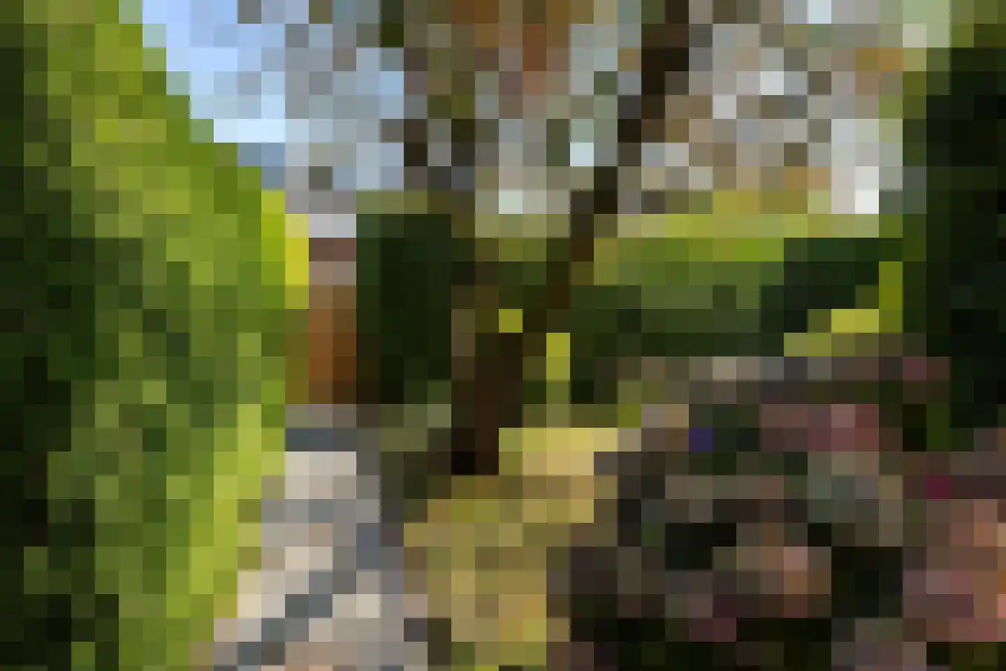 de Reest 7 Hattem thumbnail 36