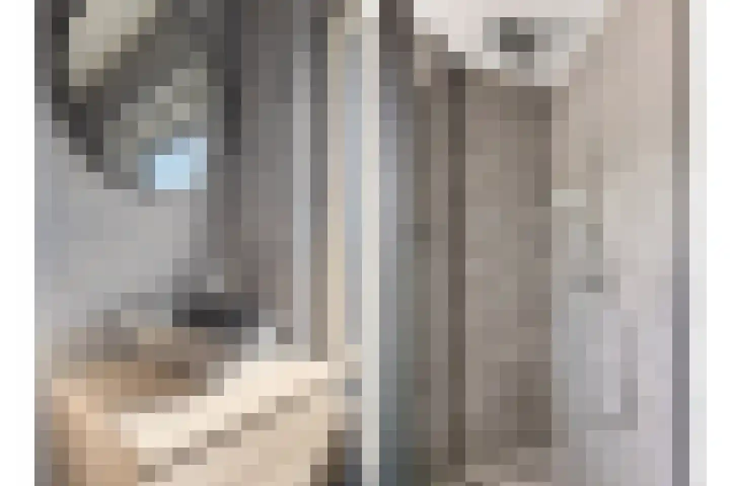 De Regeakker 6 Meijel thumbnail 22