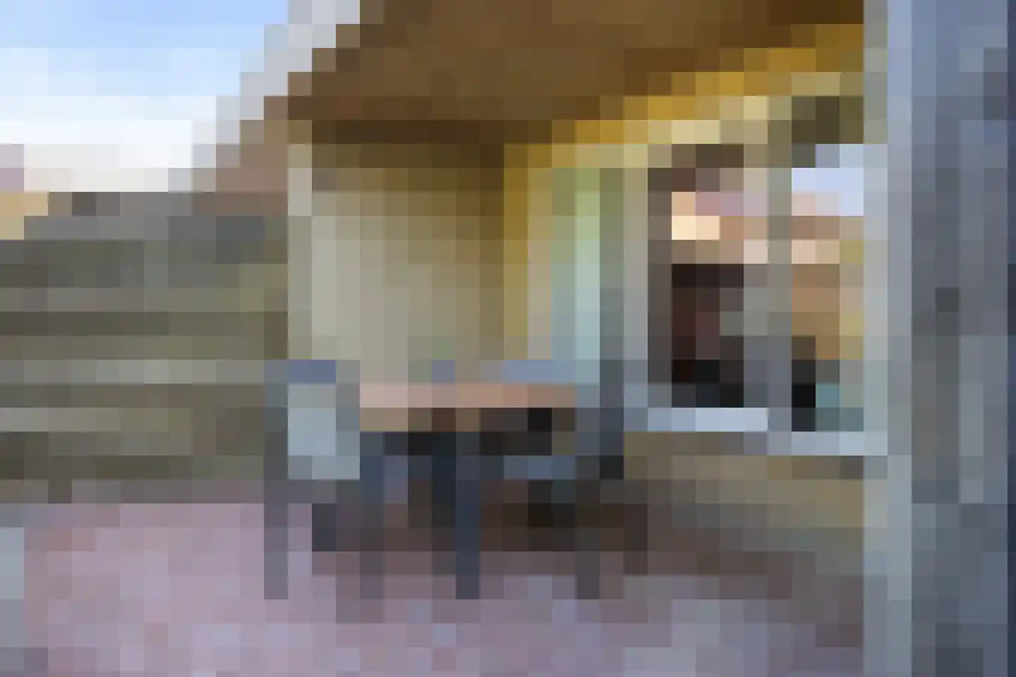 De Regeakker 6 Meijel thumbnail 24