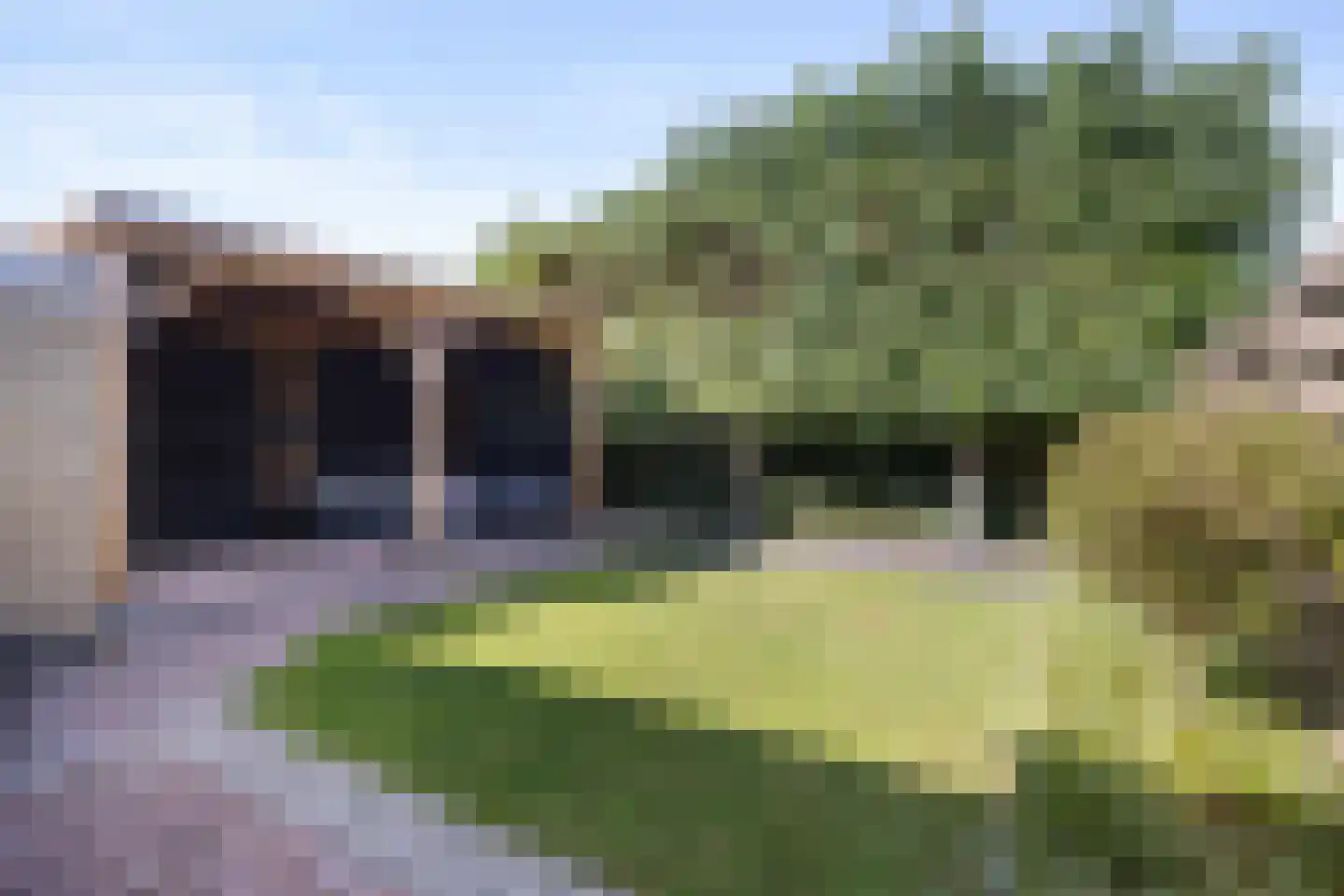 De Regeakker 6 Meijel thumbnail 27