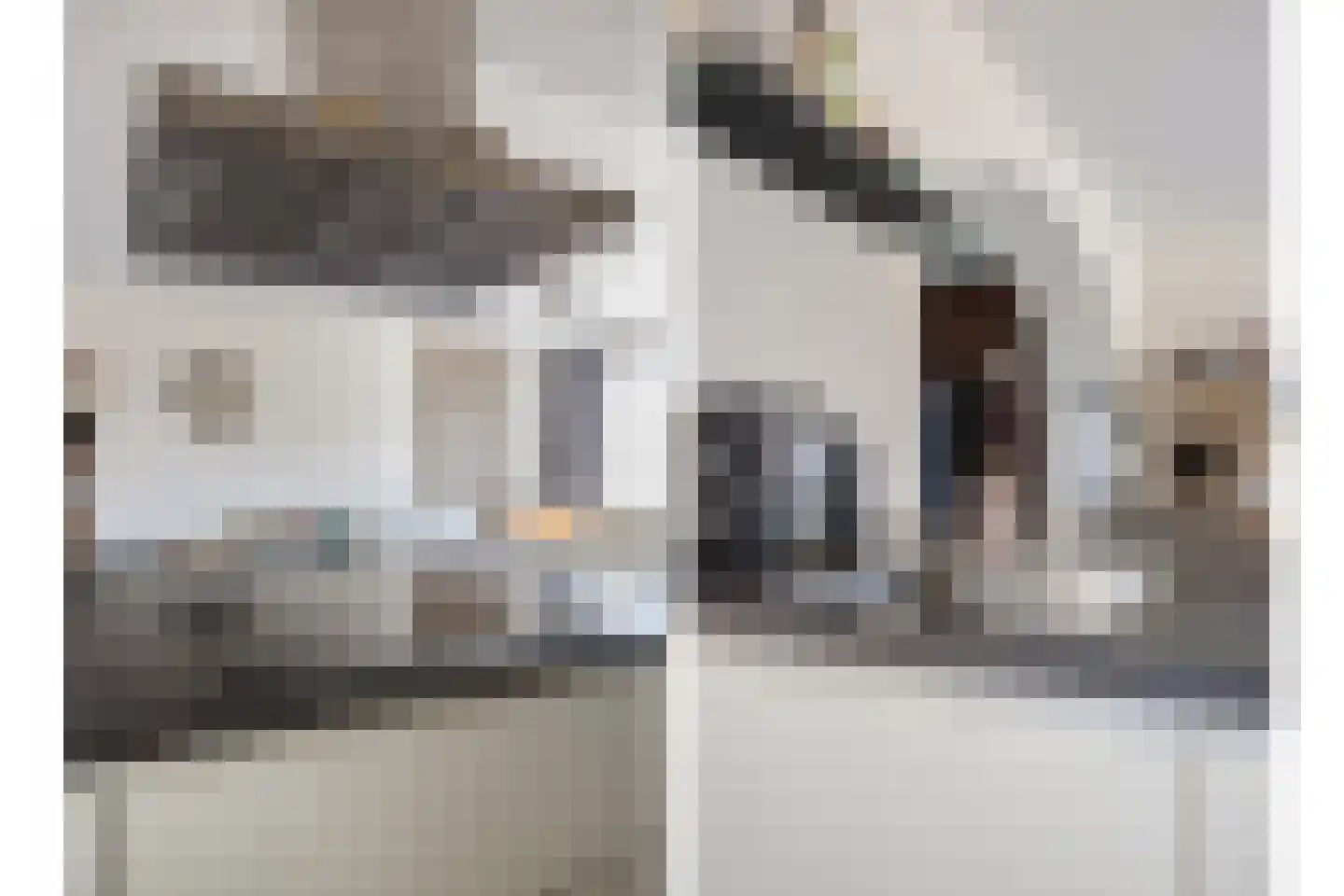 De Regeakker 6 Meijel thumbnail 6