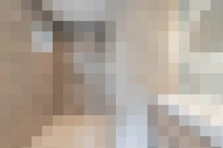 De Regenboog 16 Tuitjenhorn thumbnail 20