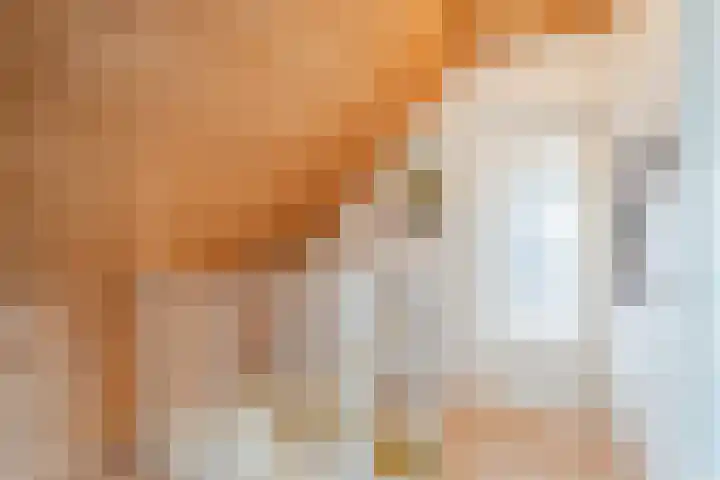 De Regenboog 16 Tuitjenhorn thumbnail 27