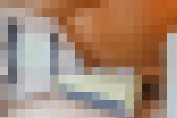 De Regenboog 16 Tuitjenhorn thumbnail 29