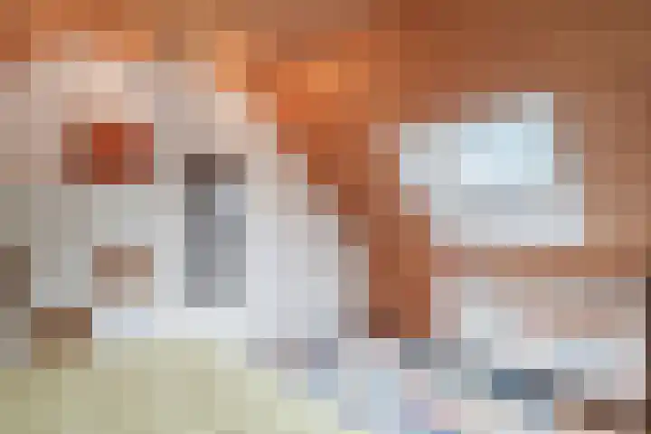De Regenboog 16 Tuitjenhorn thumbnail 30