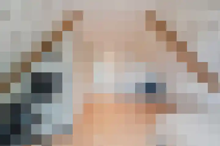 De Regenboog 16 Tuitjenhorn thumbnail 32