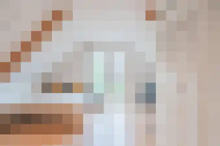 De Regenboog 16 Tuitjenhorn thumbnail 33