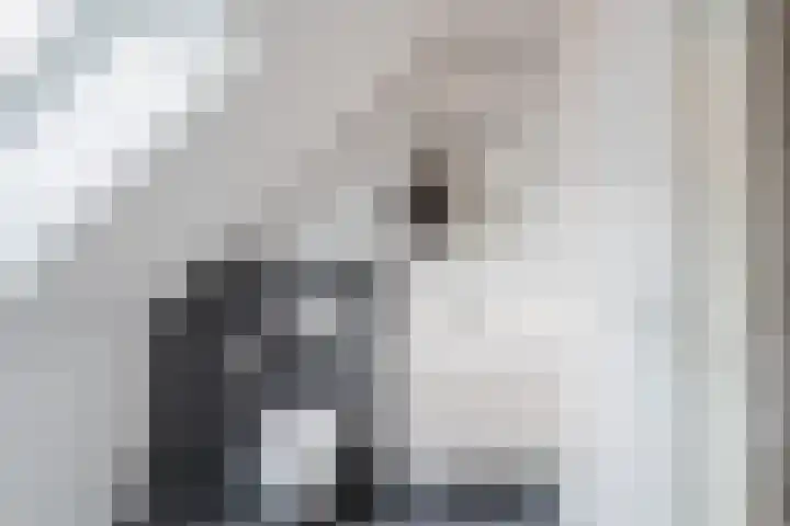 De Regenboog 16 Tuitjenhorn thumbnail 34