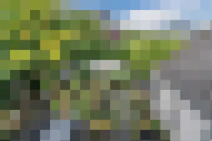 De Regenboog 16 Tuitjenhorn thumbnail 37