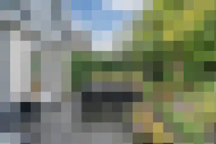 De Regenboog 16 Tuitjenhorn thumbnail 38