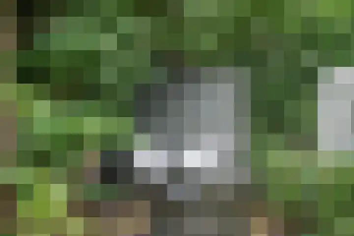 De Regenboog 16 Tuitjenhorn thumbnail 43