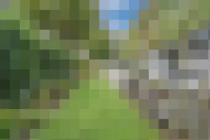 De Regenboog 16 Tuitjenhorn thumbnail 46
