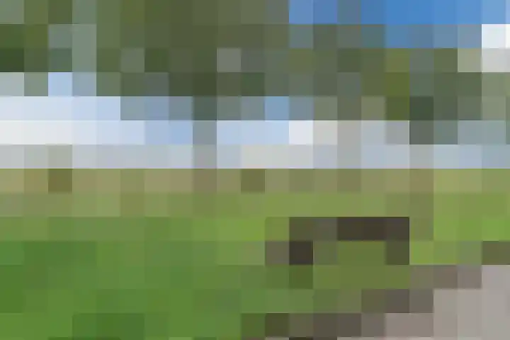 De Regenboog 16 Tuitjenhorn thumbnail 47
