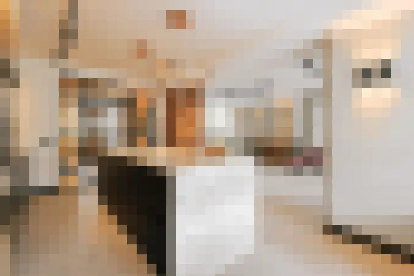 De Regenboog 3 Nieuwkoop thumbnail 17