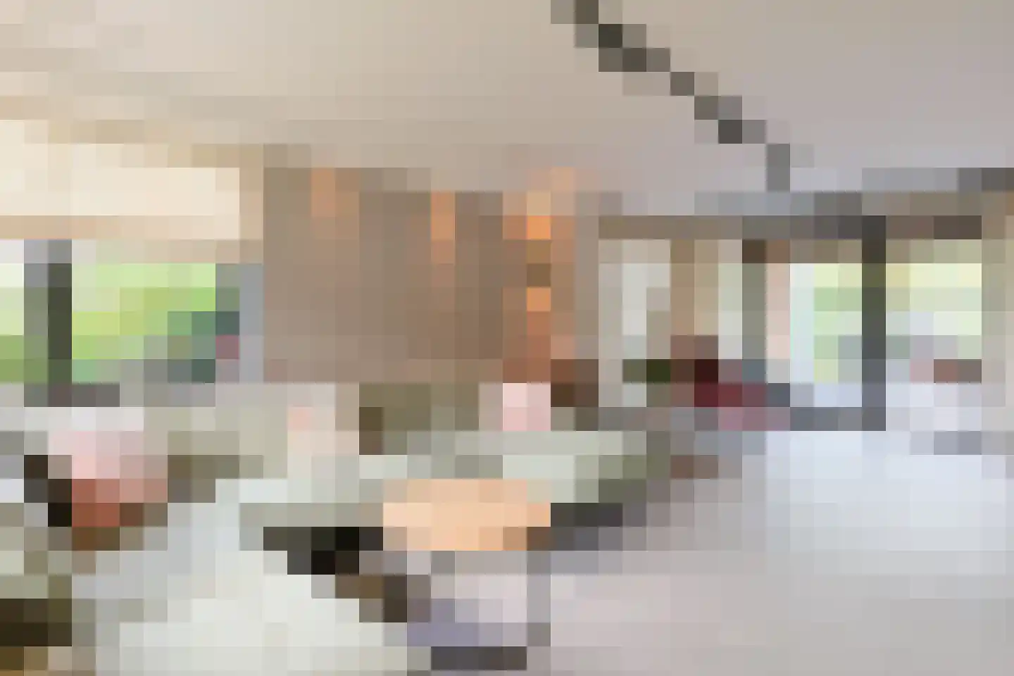 De Regenboog 3 Nieuwkoop thumbnail 25