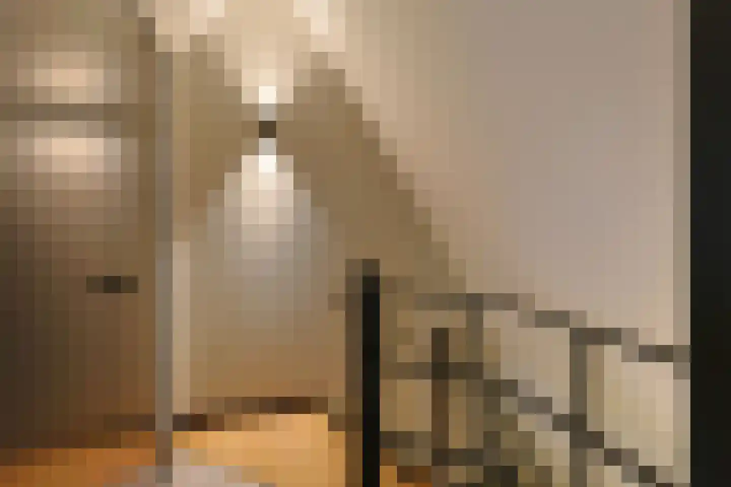 De Regenboog 3 Nieuwkoop thumbnail 61