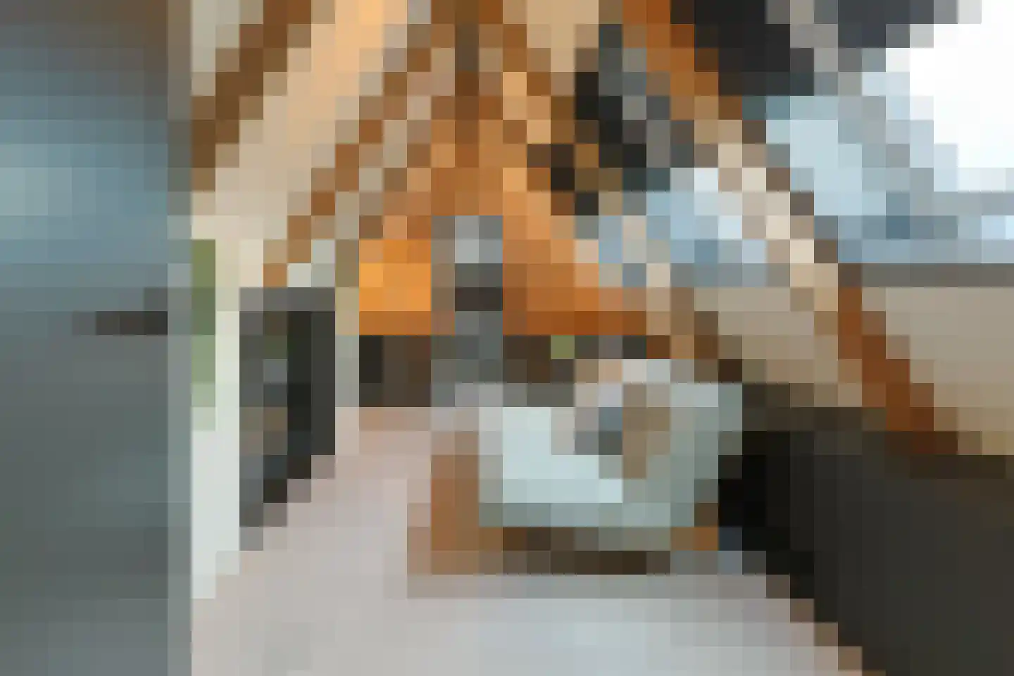 De Regenboog 3 Nieuwkoop thumbnail 62