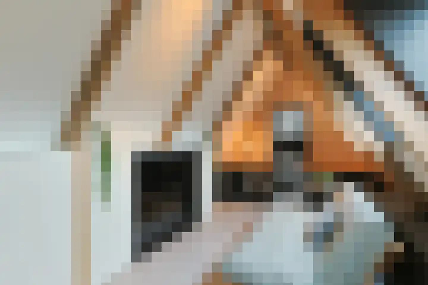 De Regenboog 3 Nieuwkoop thumbnail 62