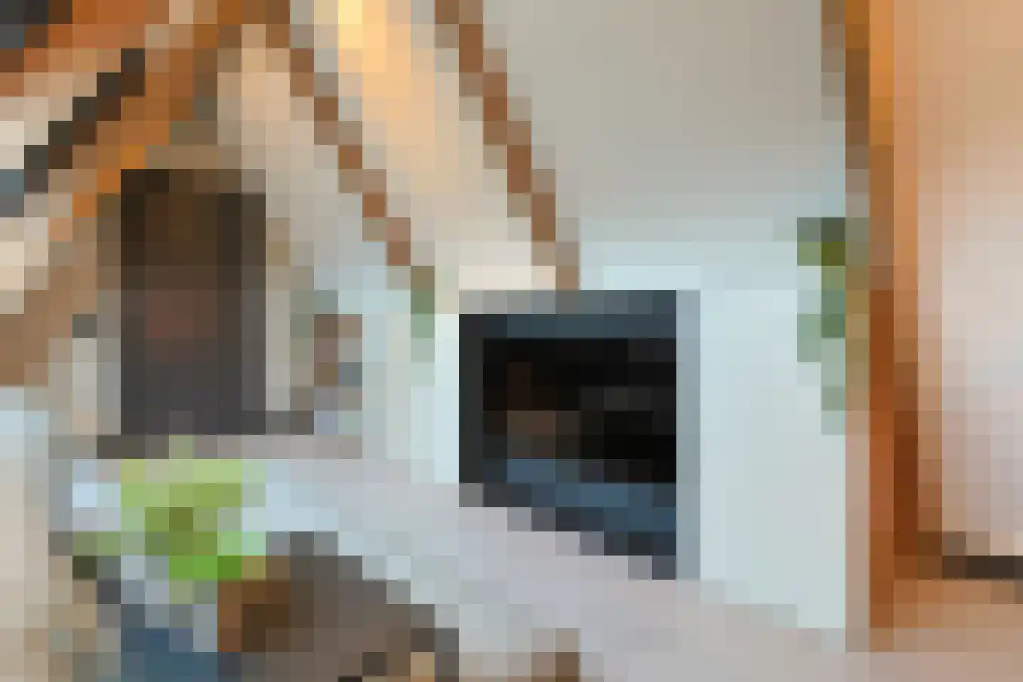 De Regenboog 3 Nieuwkoop thumbnail 67