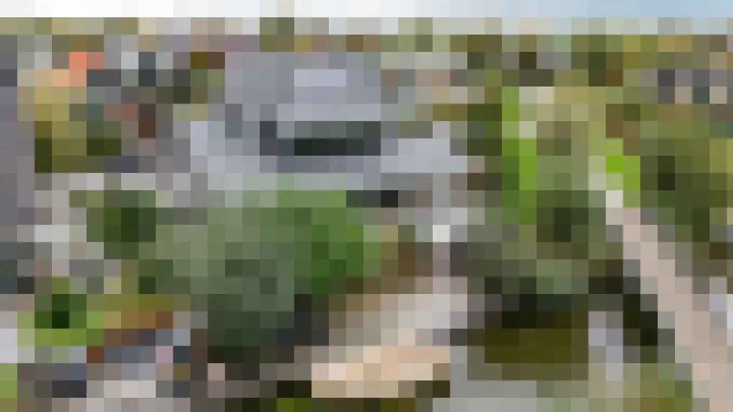 De Regenboog 3 Nieuwkoop thumbnail 69