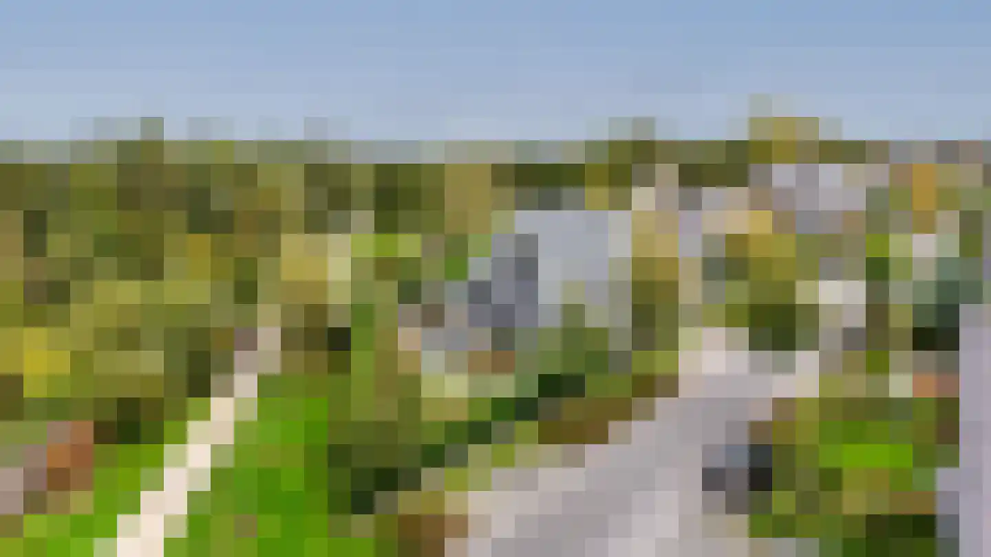 De Regenboog 3 Nieuwkoop thumbnail 7