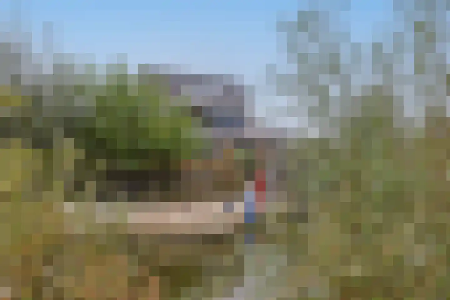 De Regenboog 3 Nieuwkoop thumbnail 71