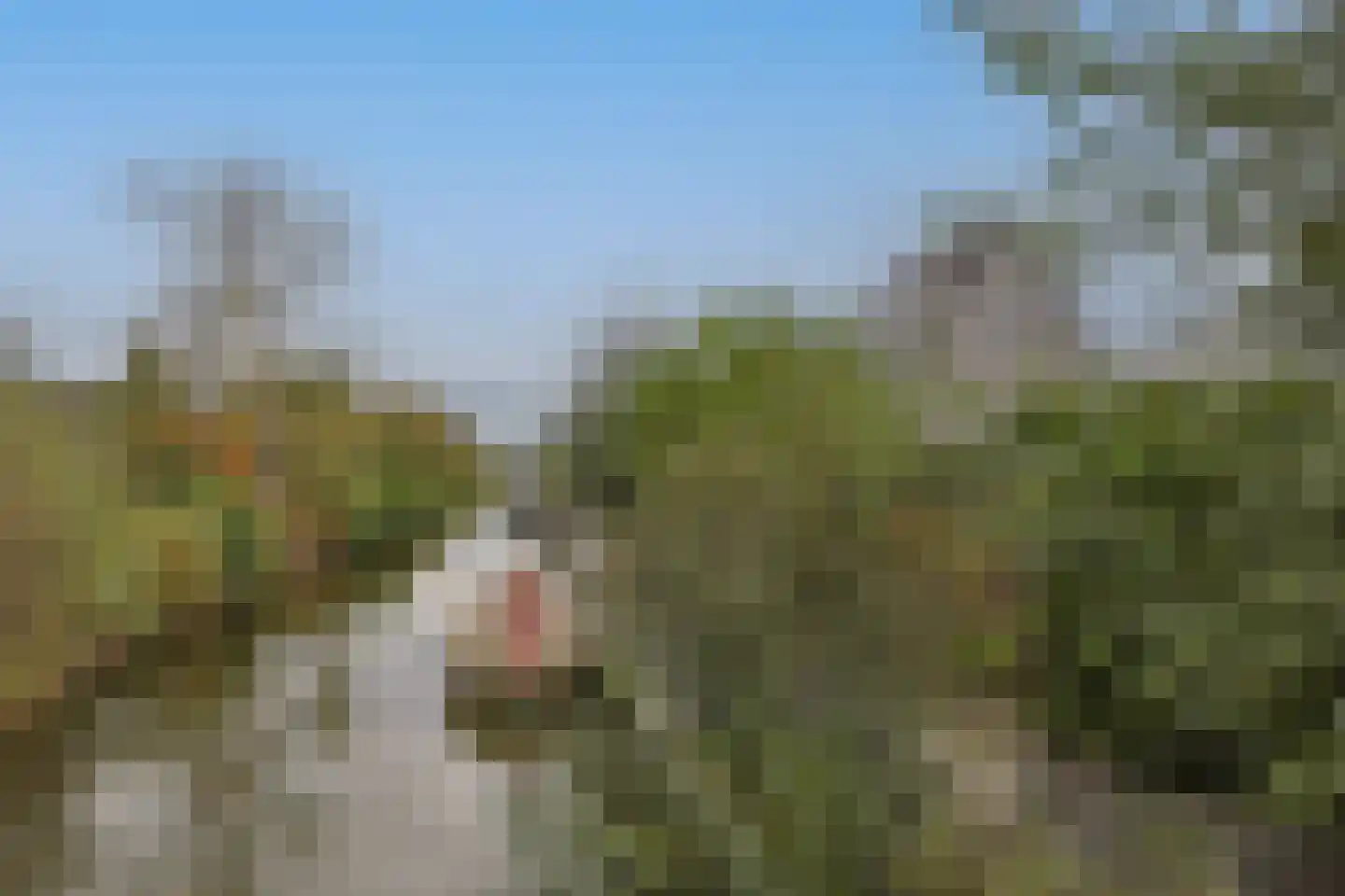 De Regenboog 3 Nieuwkoop thumbnail 73