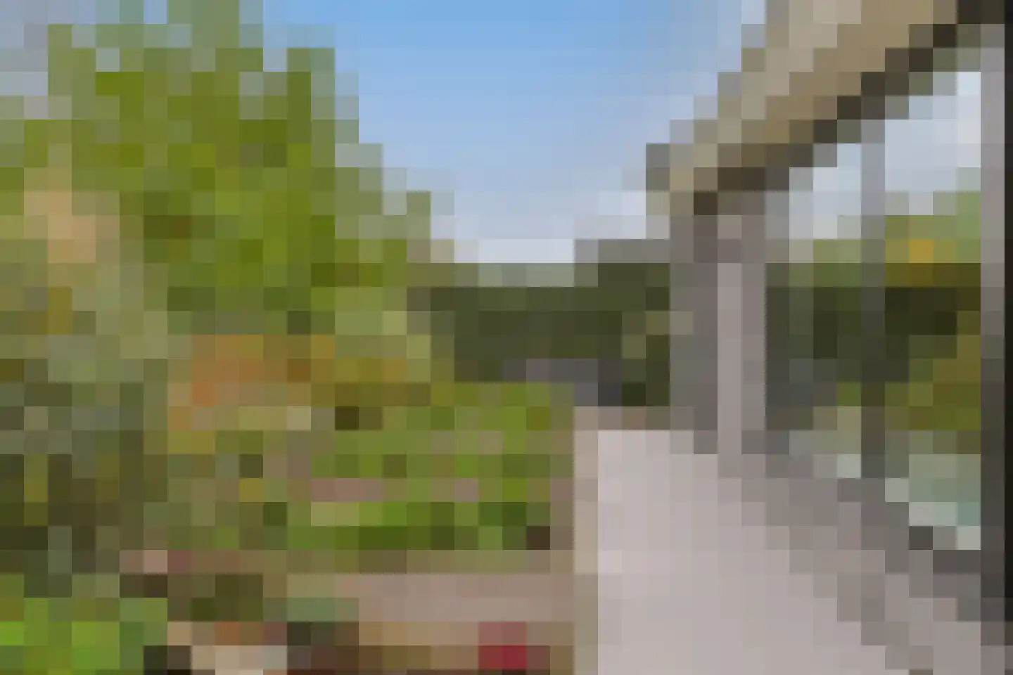 De Regenboog 3 Nieuwkoop thumbnail 78