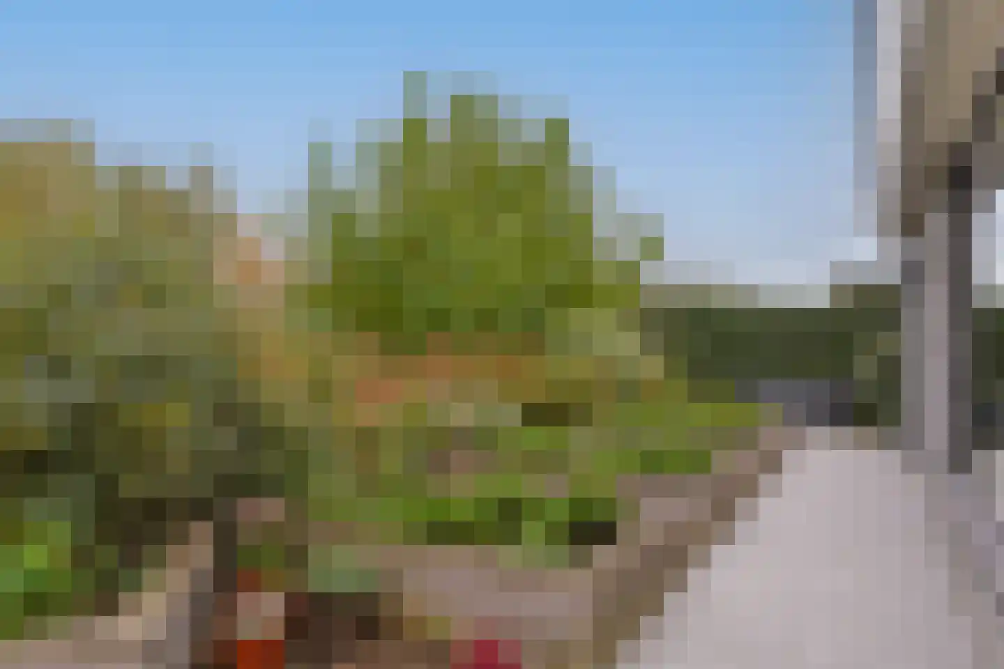 De Regenboog 3 Nieuwkoop thumbnail 79