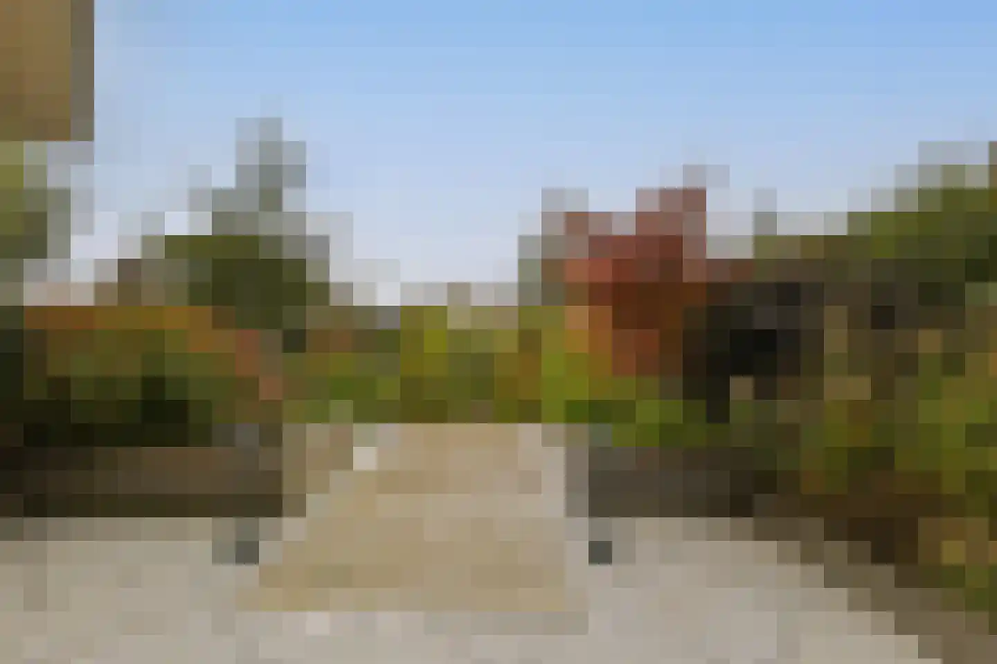 De Regenboog 3 Nieuwkoop thumbnail 81