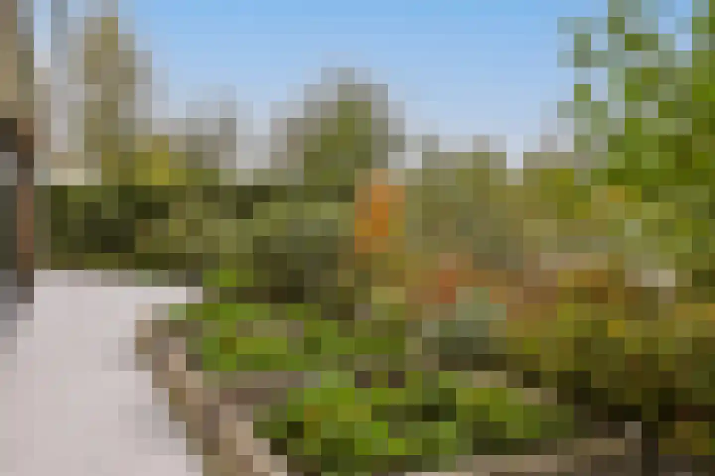 De Regenboog 3 Nieuwkoop thumbnail 84