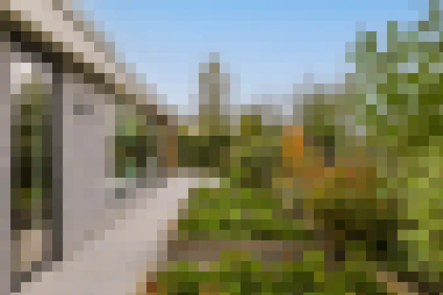 De Regenboog 3 Nieuwkoop thumbnail 85