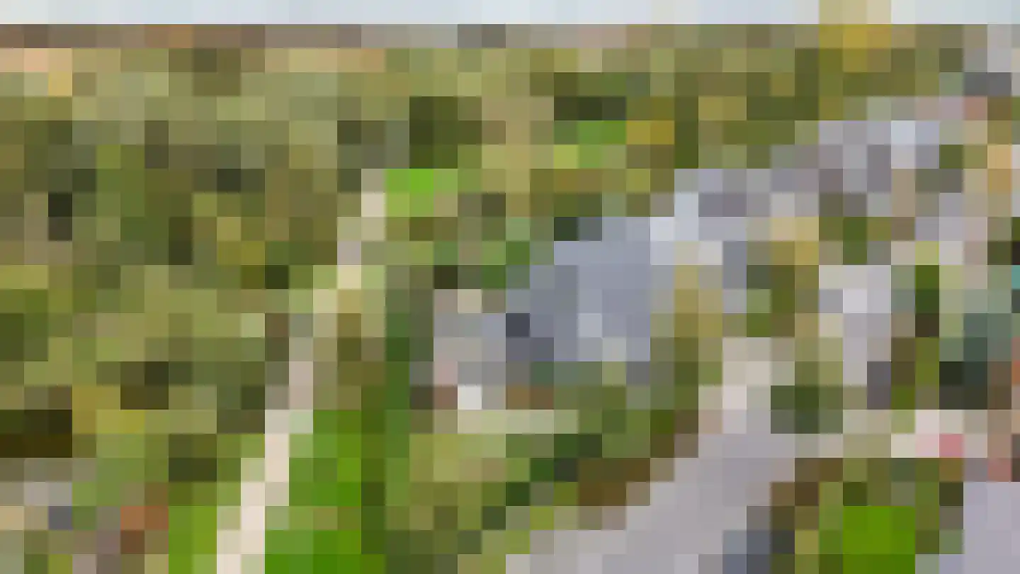 De Regenboog 3 Nieuwkoop thumbnail 88