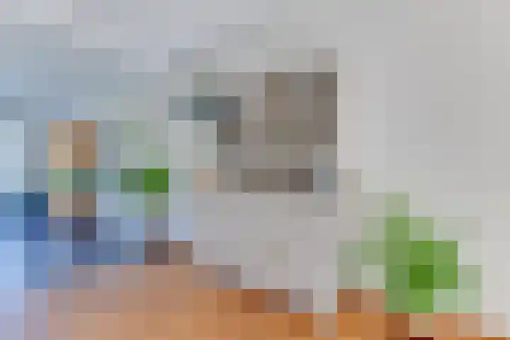 De Regenboog 30 Tuitjenhorn thumbnail 10
