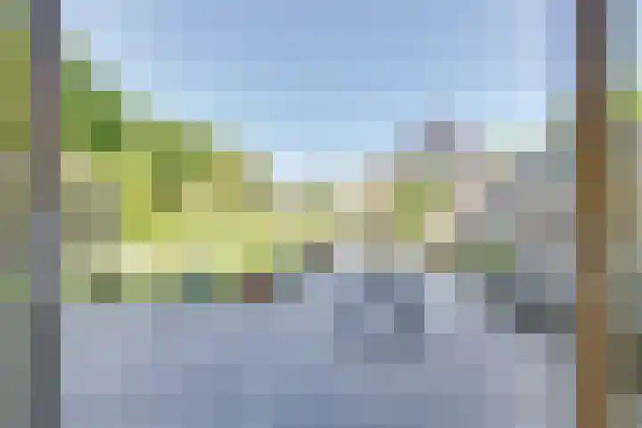 De Regenboog 30 Tuitjenhorn thumbnail 16