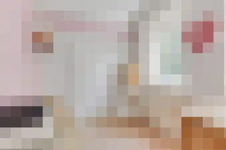 De Regenboog 30 Tuitjenhorn thumbnail 21