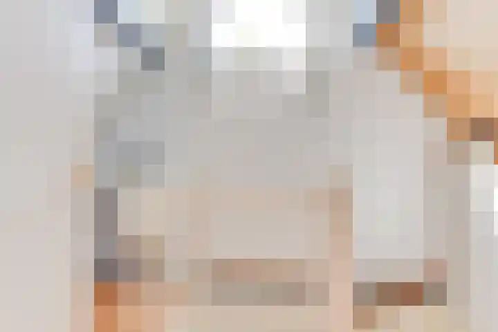 De Regenboog 30 Tuitjenhorn thumbnail 28