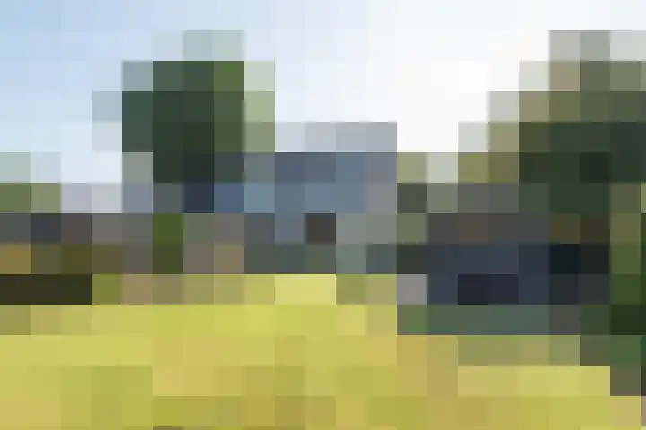De Regenboog 30 Tuitjenhorn thumbnail 31