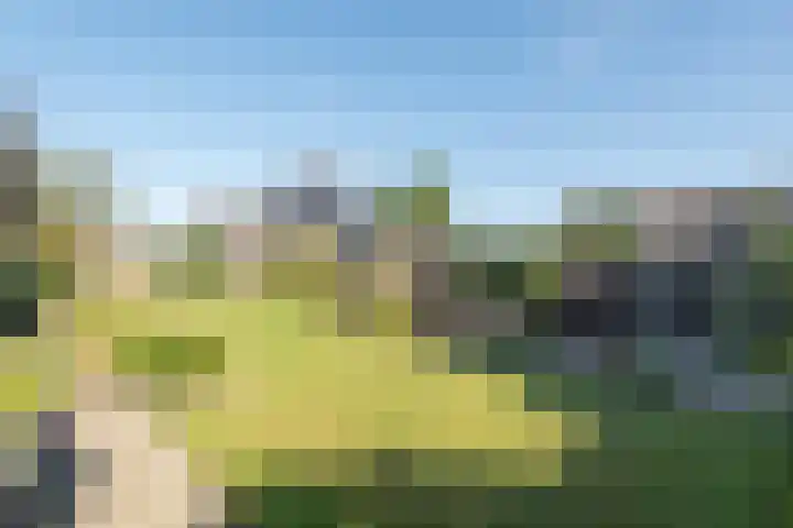 De Regenboog 30 Tuitjenhorn thumbnail 34