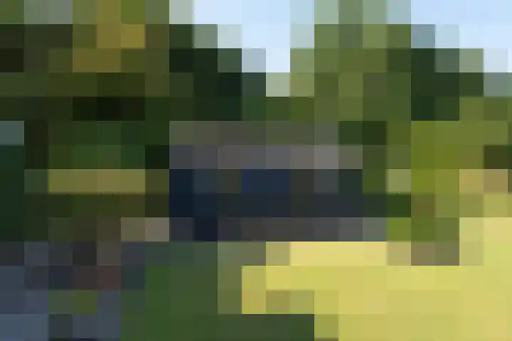 De Regenboog 30 Tuitjenhorn thumbnail 35