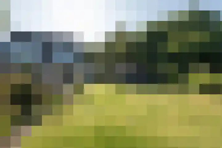 De Regenboog 30 Tuitjenhorn thumbnail 37