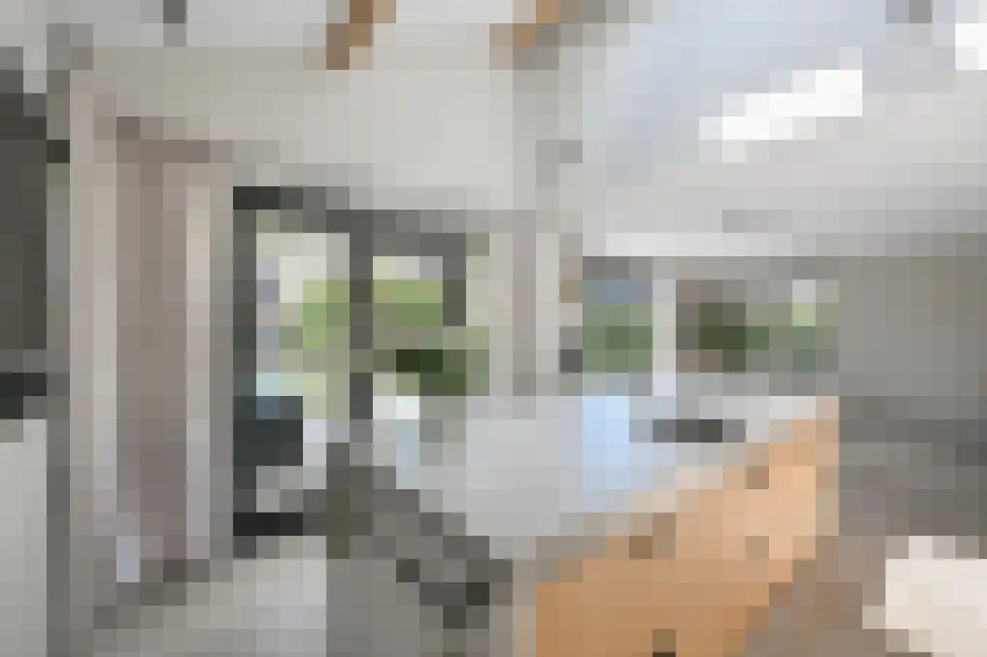 De Regenboog 36 Nieuwkoop thumbnail 15