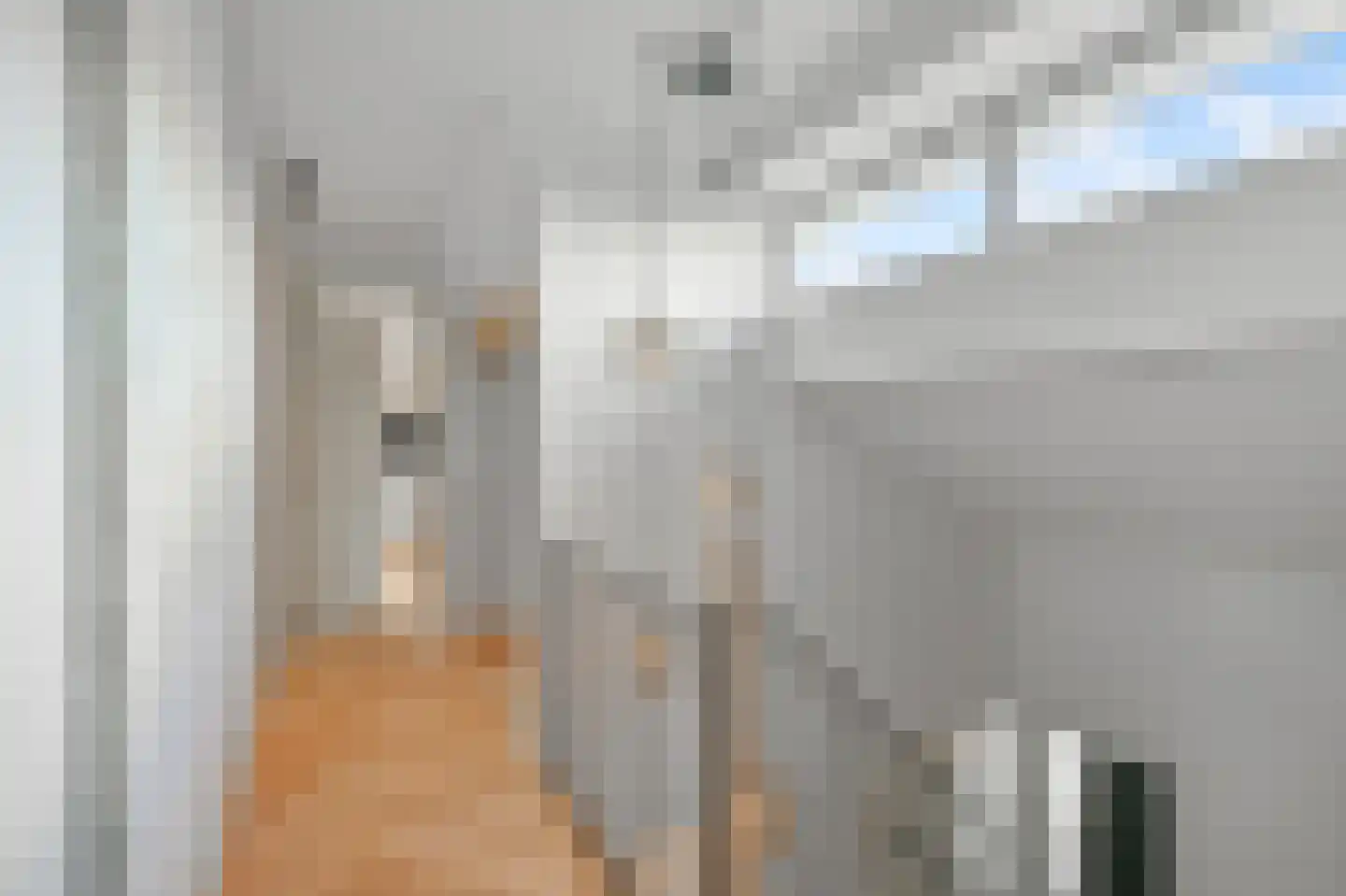 De Regenboog 36 Nieuwkoop thumbnail 33